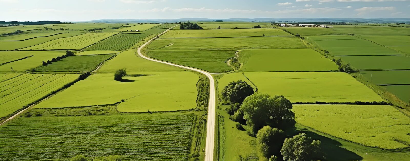 Uma estrada sinuosa atravessa vastos campos verdes sob um céu azul claro com nuvens esparsas, sendo uma boa imagem para falar da diferença de lote regular e irregular.